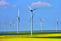 New energy force rises