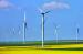 New energy force rises