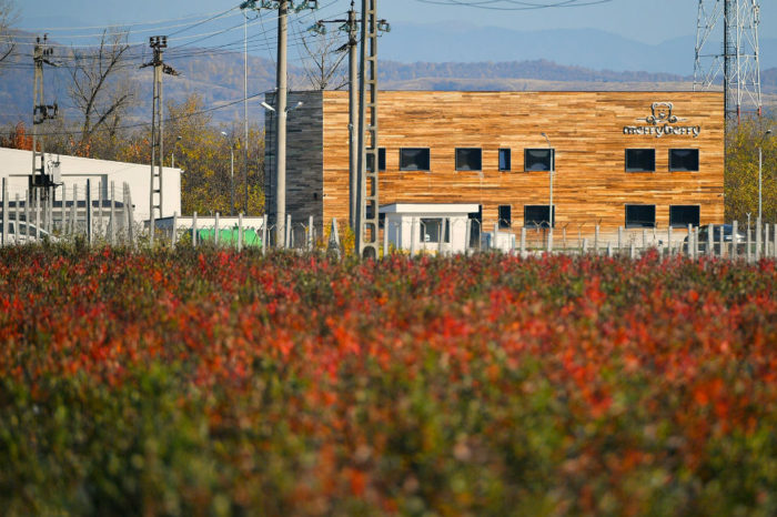 OTP Bank Romania financed the largest organic blueberries plantation in Romania with 10.5 million RON