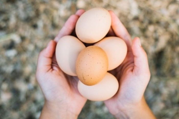 Nestlé joins EU cage-free egg call