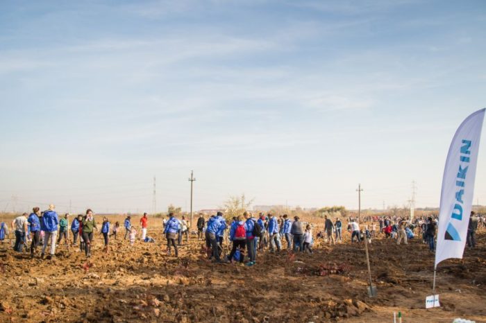 Daikin Romania plants 20,000 trees through the ‘Plant Air’ initiative