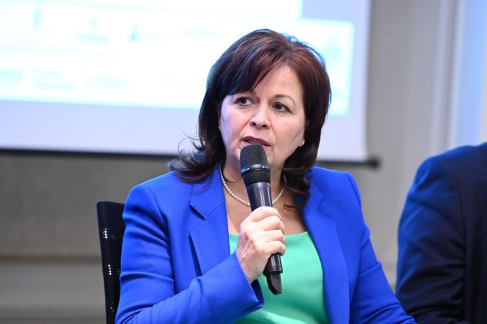 Mihaela Rodica Suciu, DEER: “We are implementing projects worth 50 million euros that will be completed in 2023”